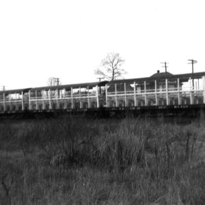 New Haven Boat Race cars showing bleacher system; profile of 3 cars
