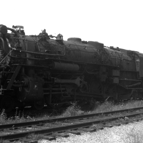 #3561 in dead line